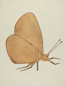 Schmetterlings-Wetterfahne, ca. 1938
