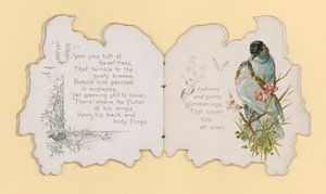 Vögel von Hector Giacomelli