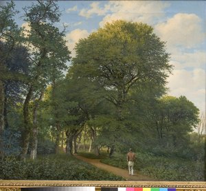Ein Waldstück in Charlottenlund. Abend