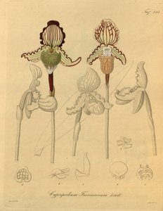 Diese Datei stammt aus der Biodiversity Heritage Library und ist online verfügbar unter biodiversitylibrary.org/page/698329