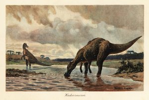 Hadrosaurier oder Entenschnabeldinosaurier fressen in einem Fluss von Heinrich Harder