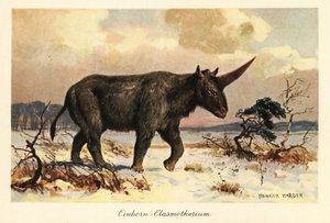 Sibirisches Einhorn, Elasmotherium sibiricum, auf einer verschneiten Ebene