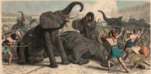 Antikes Rom: Elefanten werden im Amphitheater getötet, 1866