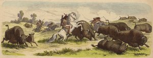 Indianer zu Pferd jagen Büffel (kolorierte Gravur)