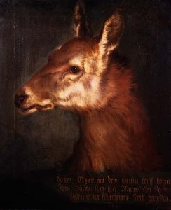 Kopf eines Rehbocks von Heinrich Lihl