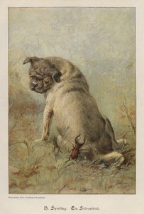 Ein Unruhestifter von Heinrich Sperling