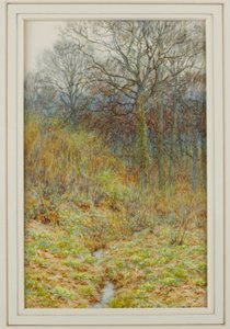 Unser Primelwald, 1913 von Helen Allingham