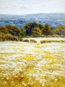 Wiesenmargeriten, nahe Westerham, Kent von Helen Allingham