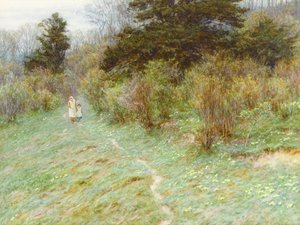 Primeln auf einer Heide in Surrey