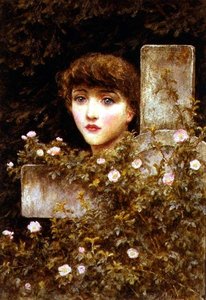 Kummer - Eine wilde Rose