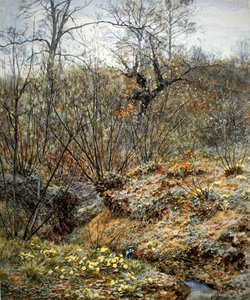 Frühlingshain, Witley, Surrey