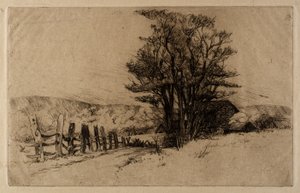 Frühlingszeit auf dem Bauernhof
