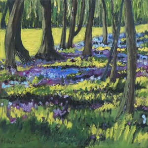 Blaublumenwald, 2008