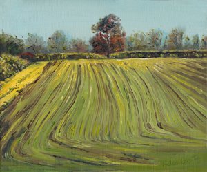 Furchen, 2008 von Helen White
