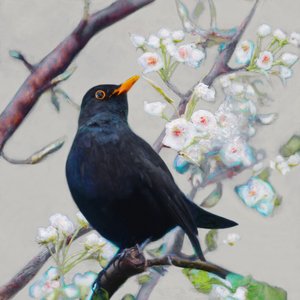 Sommerlied von Helen White
