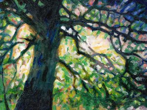 Die Silchester-Eiche, 2016