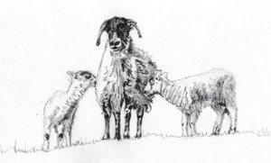 Wir Drei, 2012