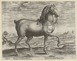 Hengst aus Deutschland von Hendrick Goltzius (possibly)