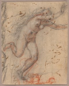 Eine nackte weibliche Figur flieht nach rechts mit ausgestreckten Armen, mit Skizze einer Büste einer sekundären Figur (recto); Eine Skizze einer nackten, knienden weiblichen Figur, unterstützt von einer anderen stehenden (verso) von Hendrick Goltzius
