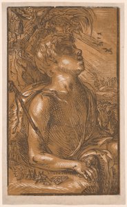 Johannes der Täufer von Hendrick Goltzius