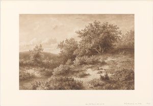 Landschaft mit Bach und Sträuchern