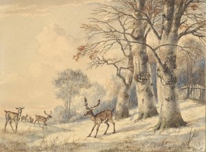 Hirsche unter Buchen im Sommer, 1853
