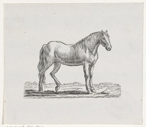 Pferd von Hendrik Numan
