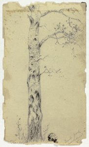 Regent Park in der Nähe des Kanals von Hendrik Pieter Koekkoek