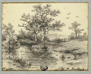 Bäume am Teich