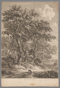 Landschaft bei Zuidlaren von Hendrik Schwegman