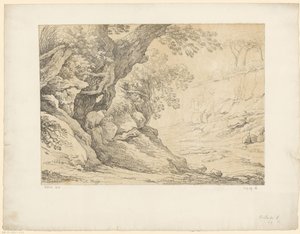Bewachsene Felsen