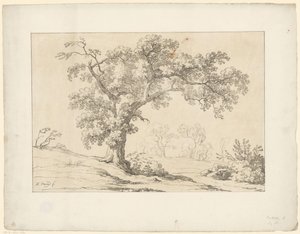 Baum in Landschaft von Hendrik Voogd