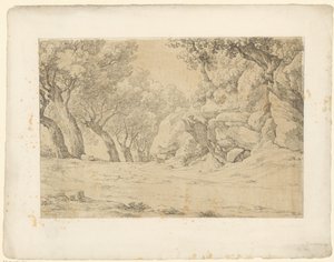 Allee mit bewachsenen Felsen von Hendrik Voogd