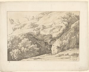 Felsen mit Sträuchern