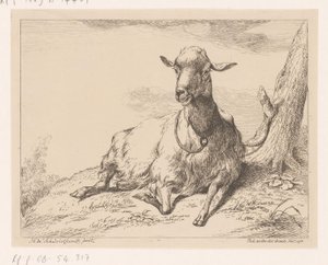 Liegende Ziege, Verschiedene Tiere (Serientitel)