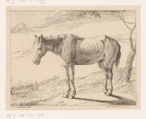 Pferd (Verschiedene Tiere) von Hendrik Willem Schweickhardt