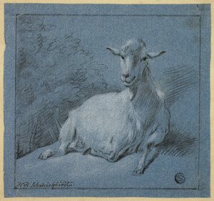 Ziege