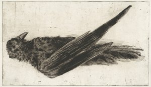 Der große hängende Rabe von Henri-Charles Guérard