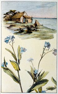 Illustration für 