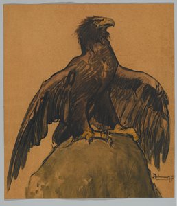 Der Adler