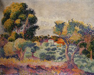 Eukalyptus- und Olivenhain