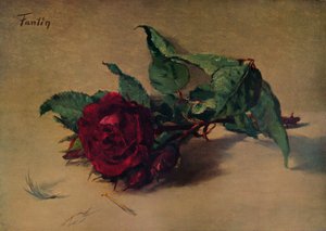 Rote Rose, um 1864, 1938