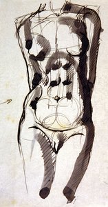 Weiblicher Torso