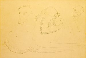 Drei Affen von Henri Gaudier Brzeska