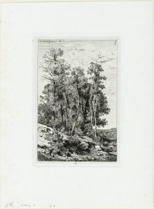 Birken und Eichen von Henri Joseph Harpignies