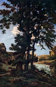Eichen in Chateaunenard, Frankreich