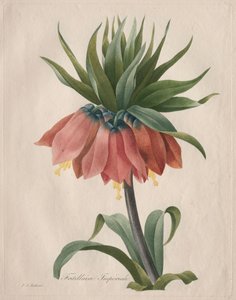 Kaiserkrone, 1827