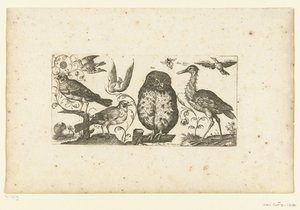Neun Vögel und ein Insekt von Henri Le Roy