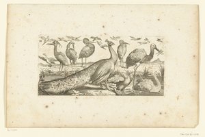Neunzehn Vögel von Henri Le Roy