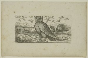 Eule und andere Vögel Vögel (Serientitel) von Henri Le Roy